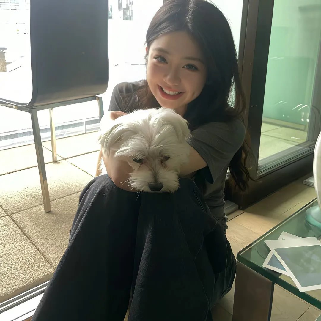 战凰岳母龙神婿